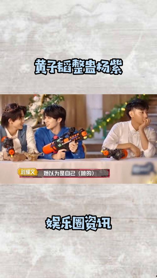 娱乐圈吃瓜小说综艺文,瓜田里的甜蜜陷阱